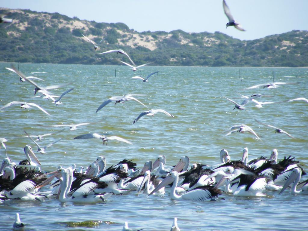 Coorong Waterfront Retreat Villa Meningie Kültér fotó
